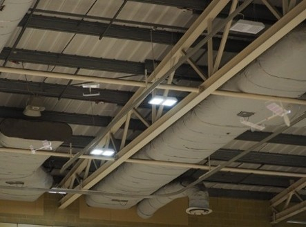 Picture12