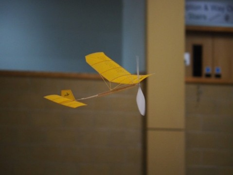 Picture47