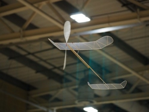 Picture6
